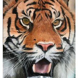 Siberian Tiger  by Yomi Segun Abbas